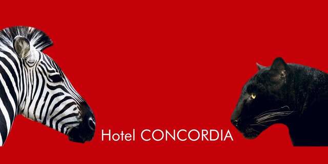 Отель Hotel Concordia Тыргу-Муреш-44